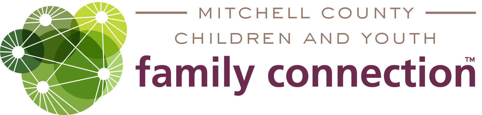 Mitchell County – GAFCP logo